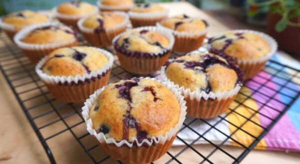 Muffins de arándanos sin gluten